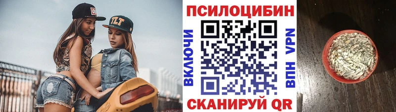 MEGA ONION Макаров Псилоцибиновые грибы мицелий где купить
